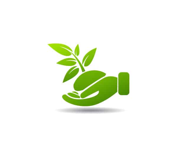 Eco Friendly Plant Icon